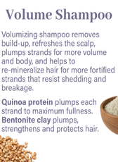Classic Haircare Sample Flight - Genesis Private Label - Custom Branded Professional Haircare Products - Natural Ingredients - GNLCLAHCSAMPLE2025