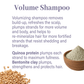 Classic Haircare Sample Flight - Genesis Private Label - Custom Branded Professional Haircare Products - Natural Ingredients - GNLCLAHCSAMPLE2025