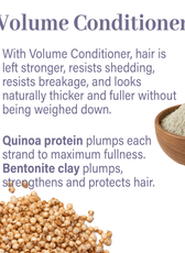 Classic Haircare Sample Flight - Genesis Private Label - Custom Branded Professional Haircare Products - Natural Ingredients - GNLCLAHCSAMPLE2025