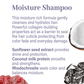 Classic Haircare Sample Flight - Genesis Private Label - Custom Branded Professional Haircare Products - Natural Ingredients - GNLCLAHCSAMPLE2025