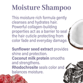 Classic Haircare Sample Flight - Genesis Private Label - Custom Branded Professional Haircare Products - Natural Ingredients - GNLCLAHCSAMPLE2025