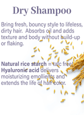 Specialty Haircare Sample Flight - Genesis Private Label - Custom Branded Professional Haircare Products - Natural Ingredients - GNLSPHCSAMPLE2025