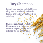 Specialty Haircare Sample Flight - Genesis Private Label - Custom Branded Professional Haircare Products - Natural Ingredients - GNLSPHCSAMPLE2025