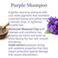 Specialty Haircare Sample Flight - Genesis Private Label - Custom Branded Professional Haircare Products - Natural Ingredients - GNLSPHCSAMPLE2025