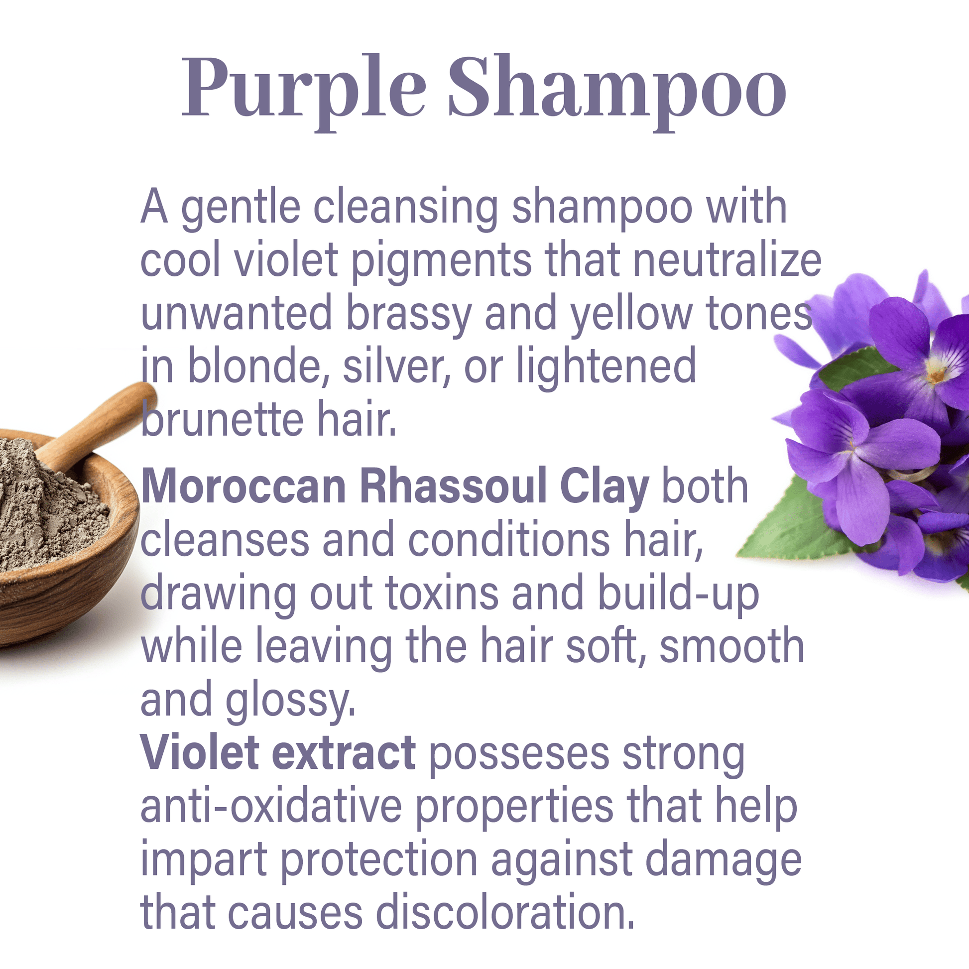 Specialty Haircare Sample Flight - Genesis Private Label - Custom Branded Professional Haircare Products - Natural Ingredients - GNLSPHCSAMPLE2025