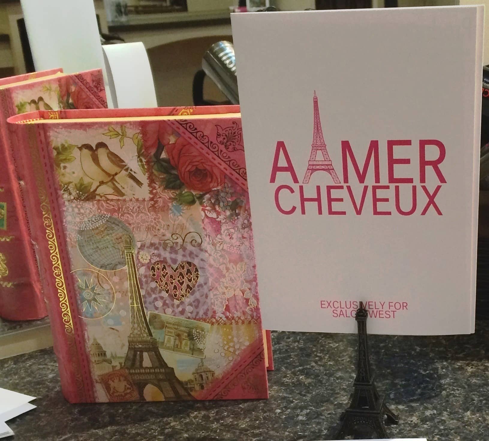Aimer Cheveux display launch.